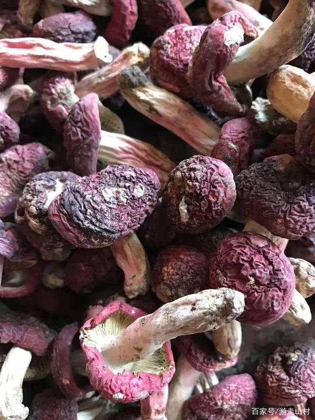 建瓯土特产货源