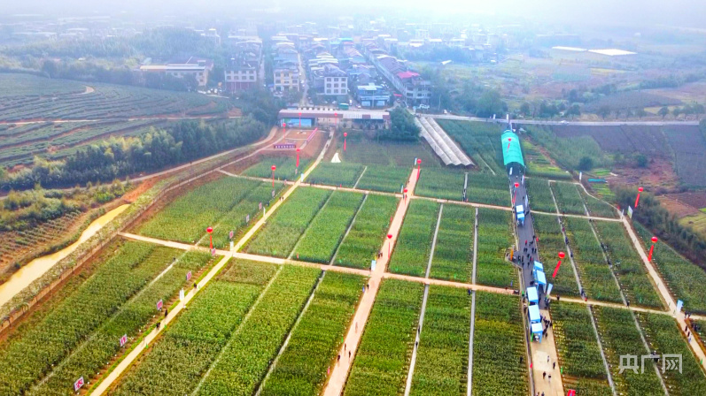 探寻闽北土特产的独特魅力